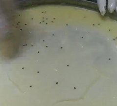 成功案例
